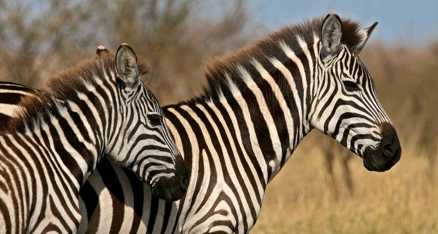 AUTHENTIC OF NORTHERN TANZANIA - Expect In Africa Safari