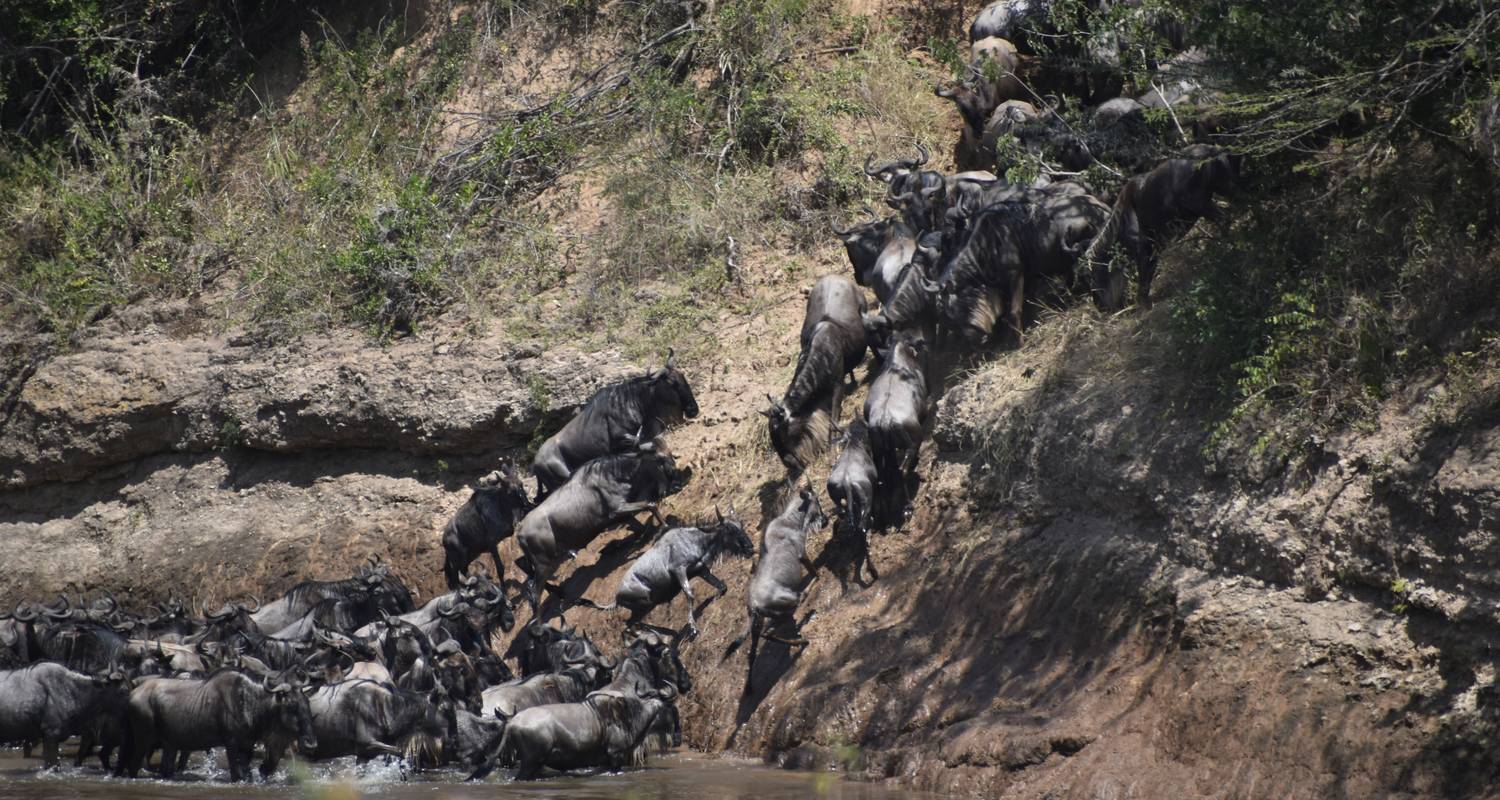 Ultimate Kenya Big Five Safari & Beach Adventure
