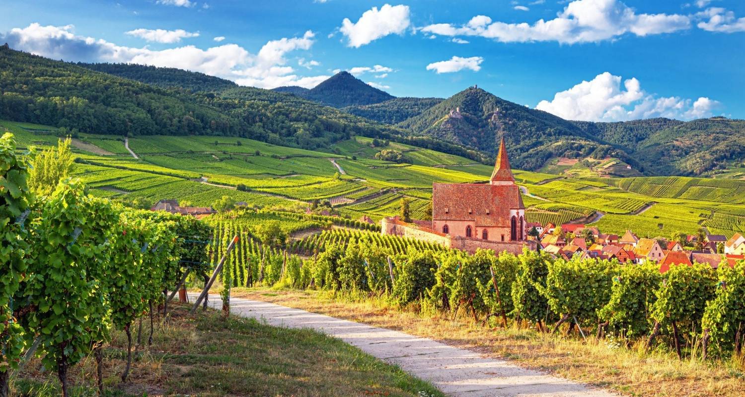 Cycling the Wine Route of Alsace - Exodus Travels