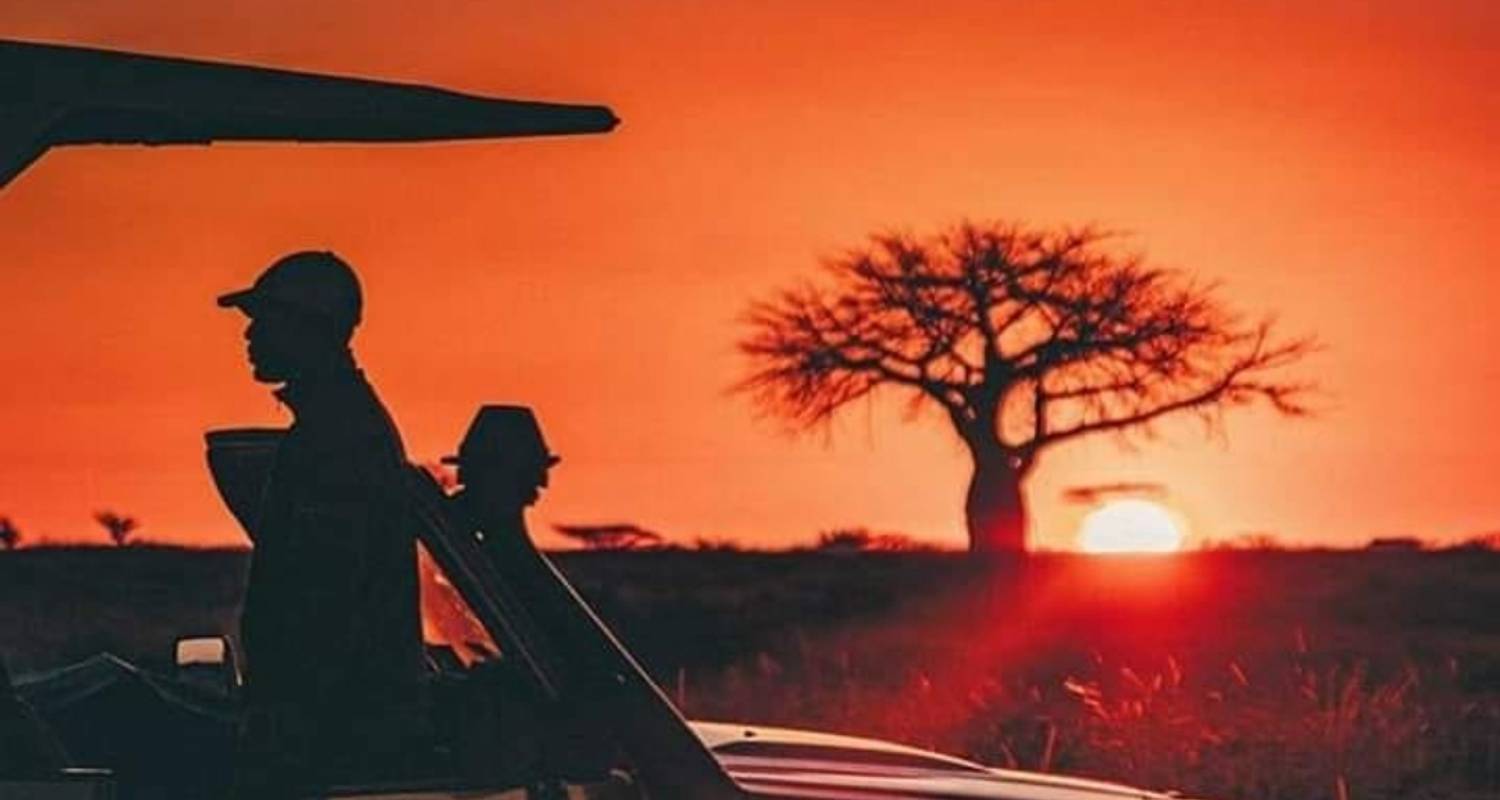 4 days Luxury & Authentic  safari featuring Serengeti - Afrishare Trekking And Safaris