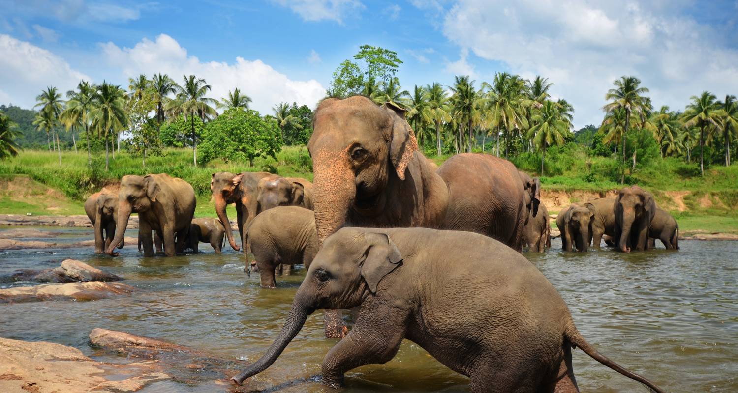 Cautiva la diversidad de Sri Lanka con unas vacaciones de playa en Kalutara incl. vuelos - Indochina Travels