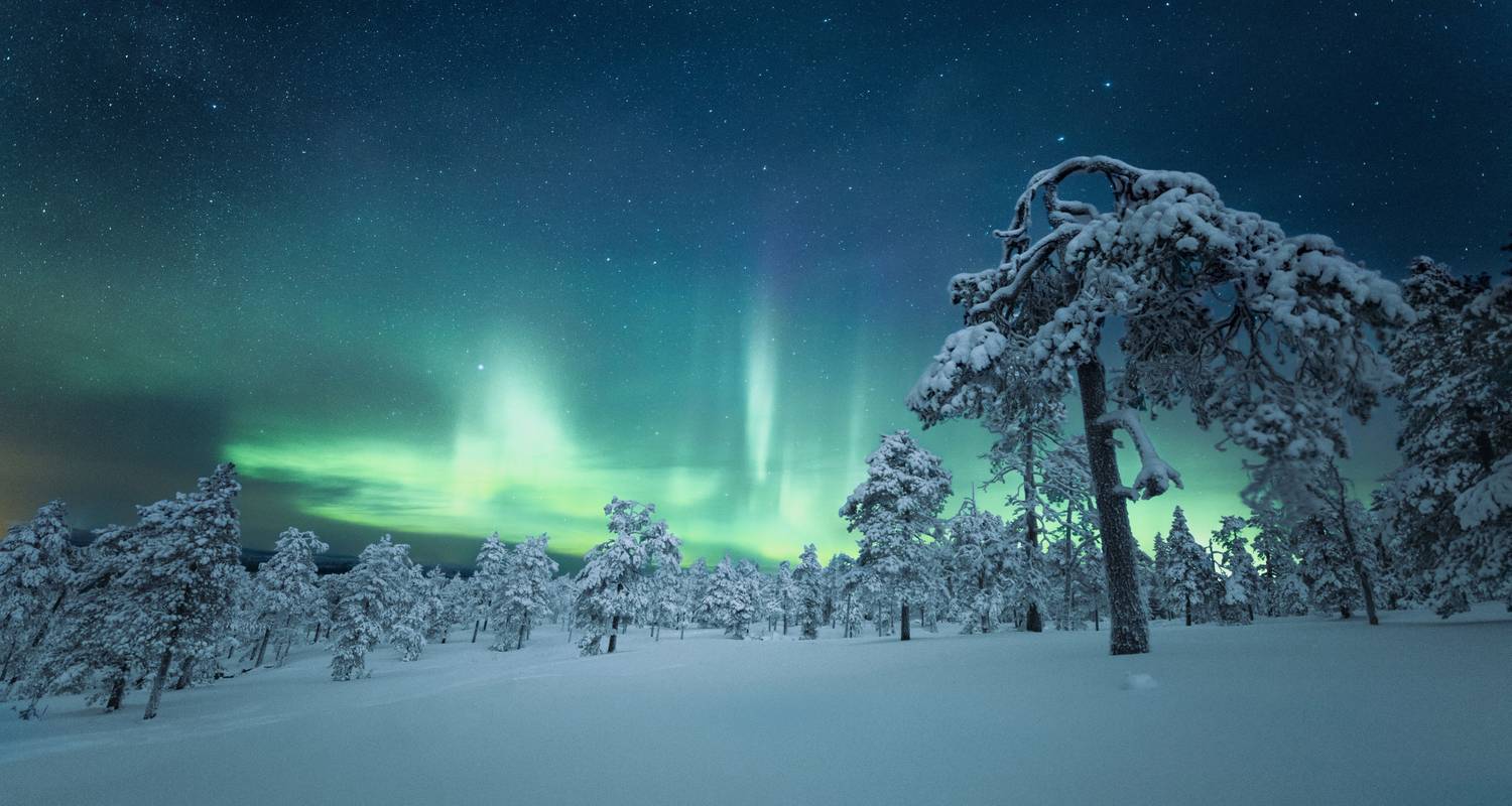 Lapland: A Winter Adventure - Yellowwood Adventures Ltd