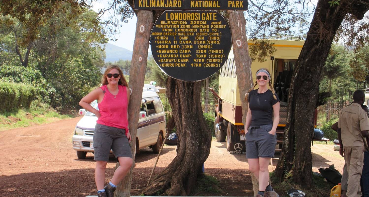 7 Days: Kilimanjaro Trekking via Lemosho Route - Kilimanjaro and Safaris Tours