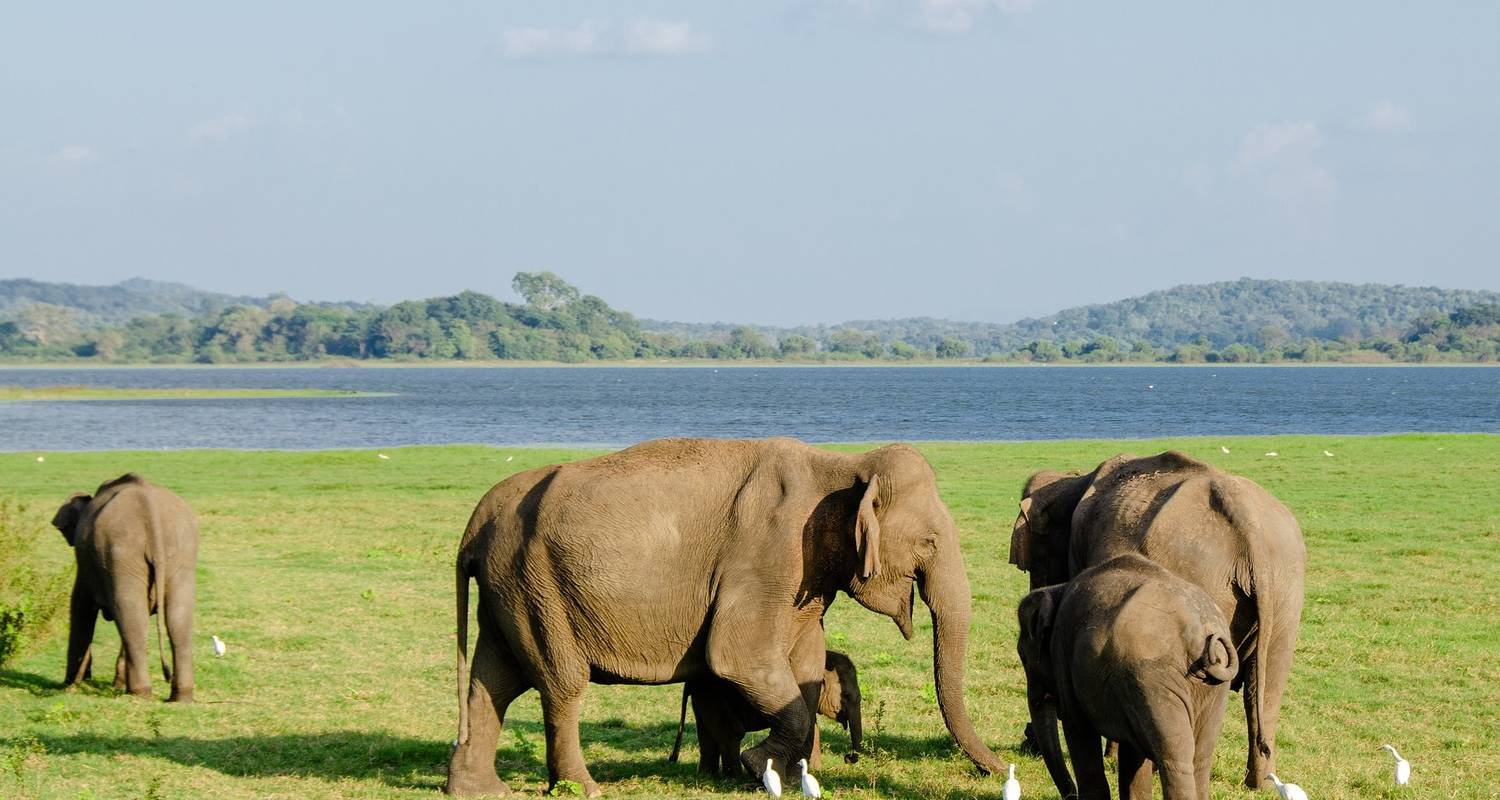 Viajes en solitario para mujeres en Sri Lanka - Holiday Lanka Tours