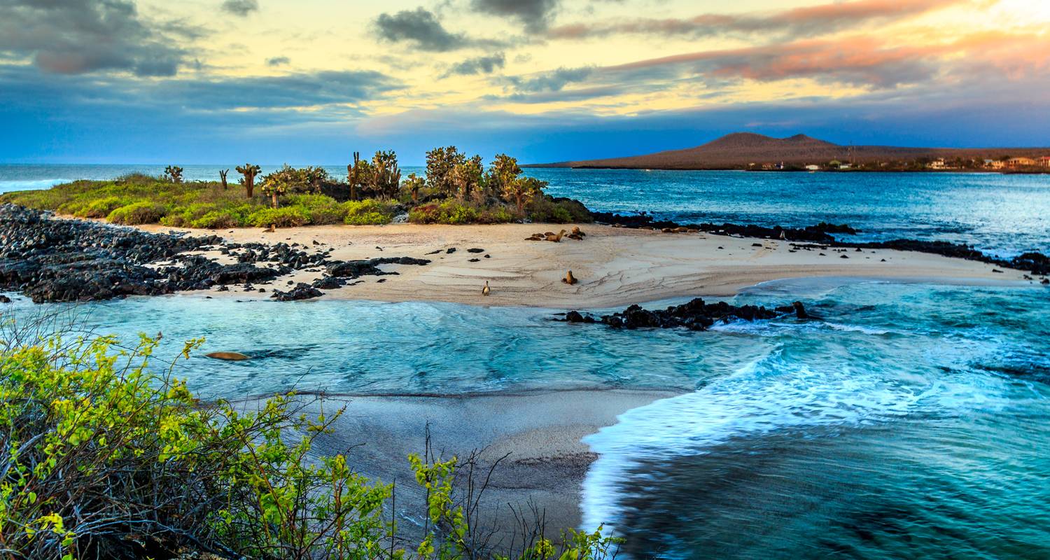 Galápagos Islands Expedition Cruise – Iconic Wildlife & Sublime Scenery - Hurtigruten