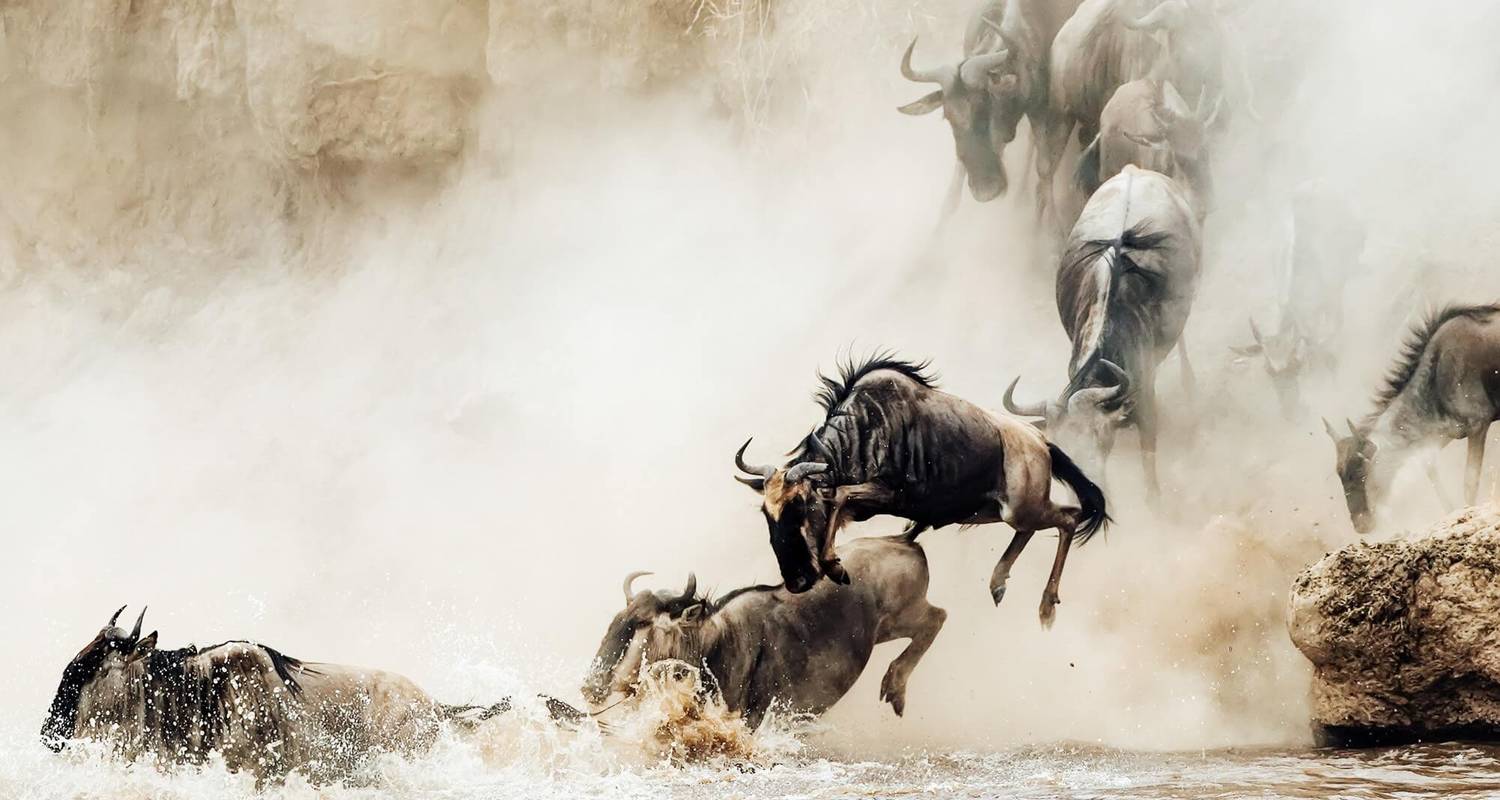 PHOTOGRAPHY SAFARI - Great Migration River Crossing { July to October } - Expect In Africa Safari