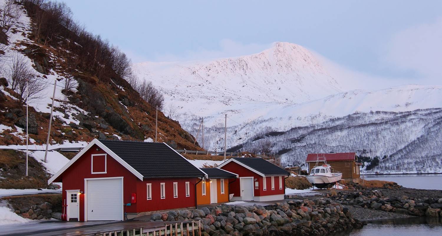 Beyond the Arctic Circle - Scenic Luxury Cruises & Tours