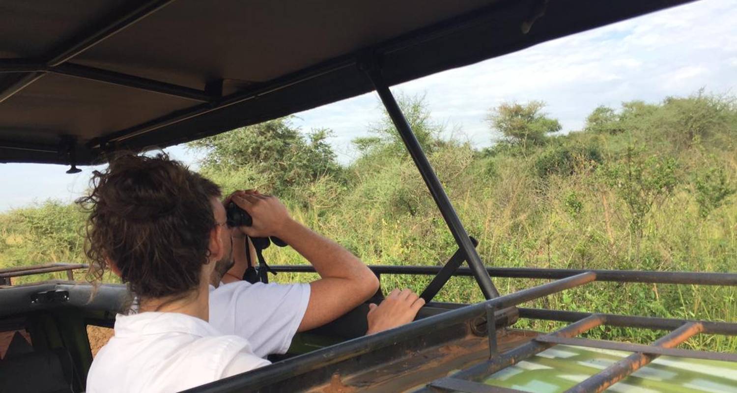 14 Days Gorillas, Chimps and wildlife exploring the beauty of Uganda - Buyaga Safaris