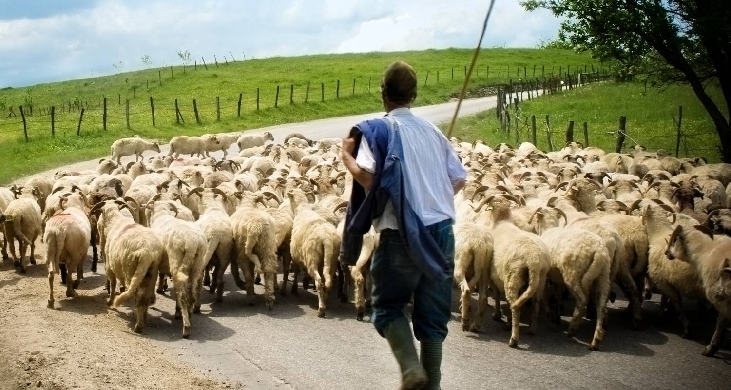 Transylvania: With flair