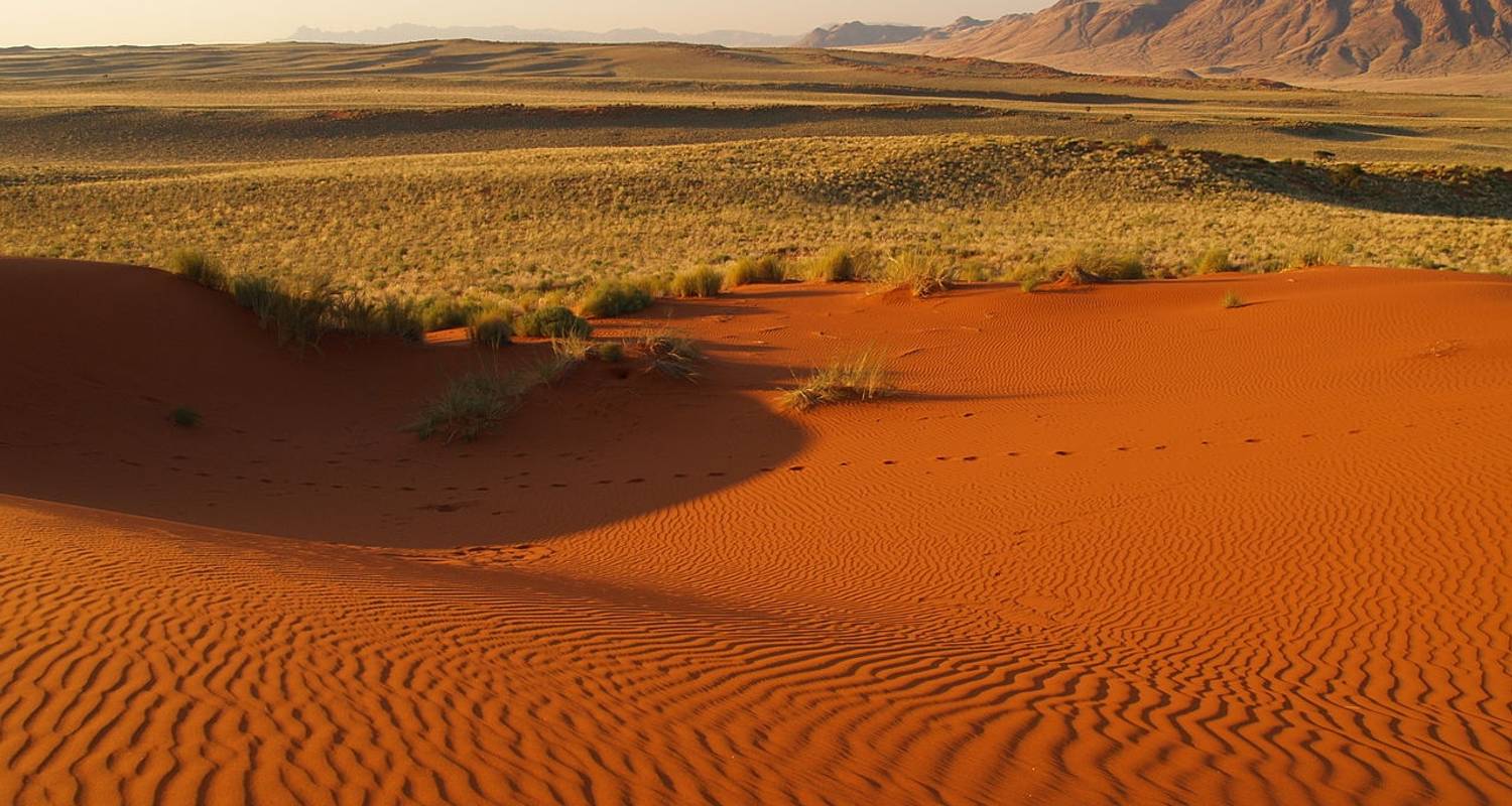 Navidad y Año Nuevo circuitos en Sossusvlei