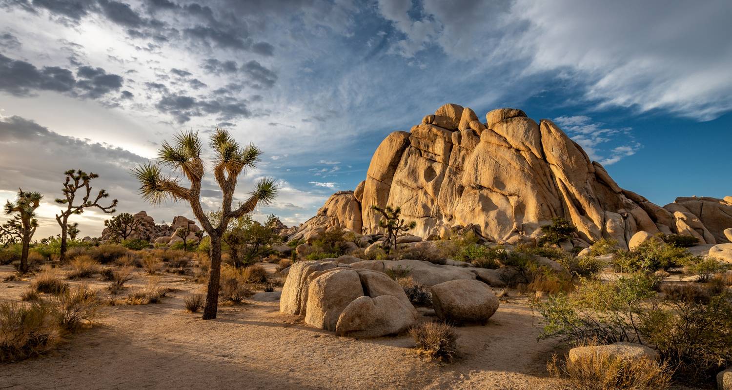 Southern California & Joshua Tree National Park (Small Groups, End ...