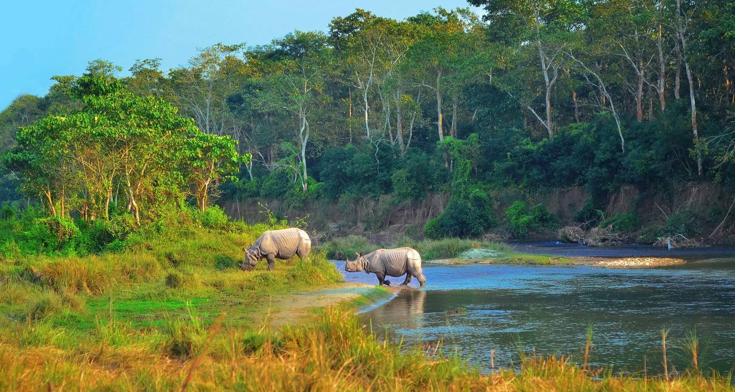 Bardia National Park Safari Rundreise - Amazing Authentic Treks 