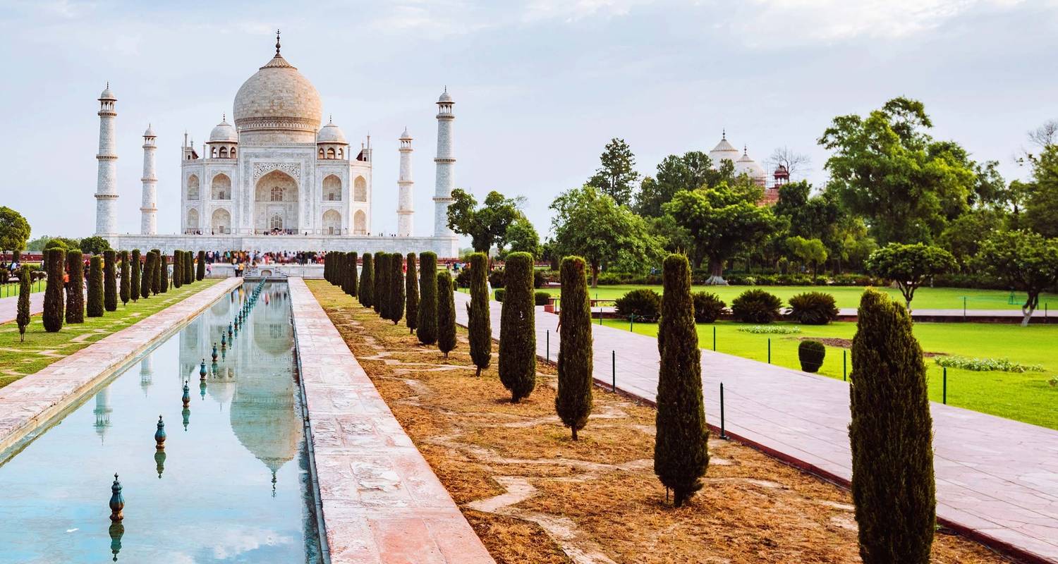 India Tijgers en Taj Tour - Holidays At