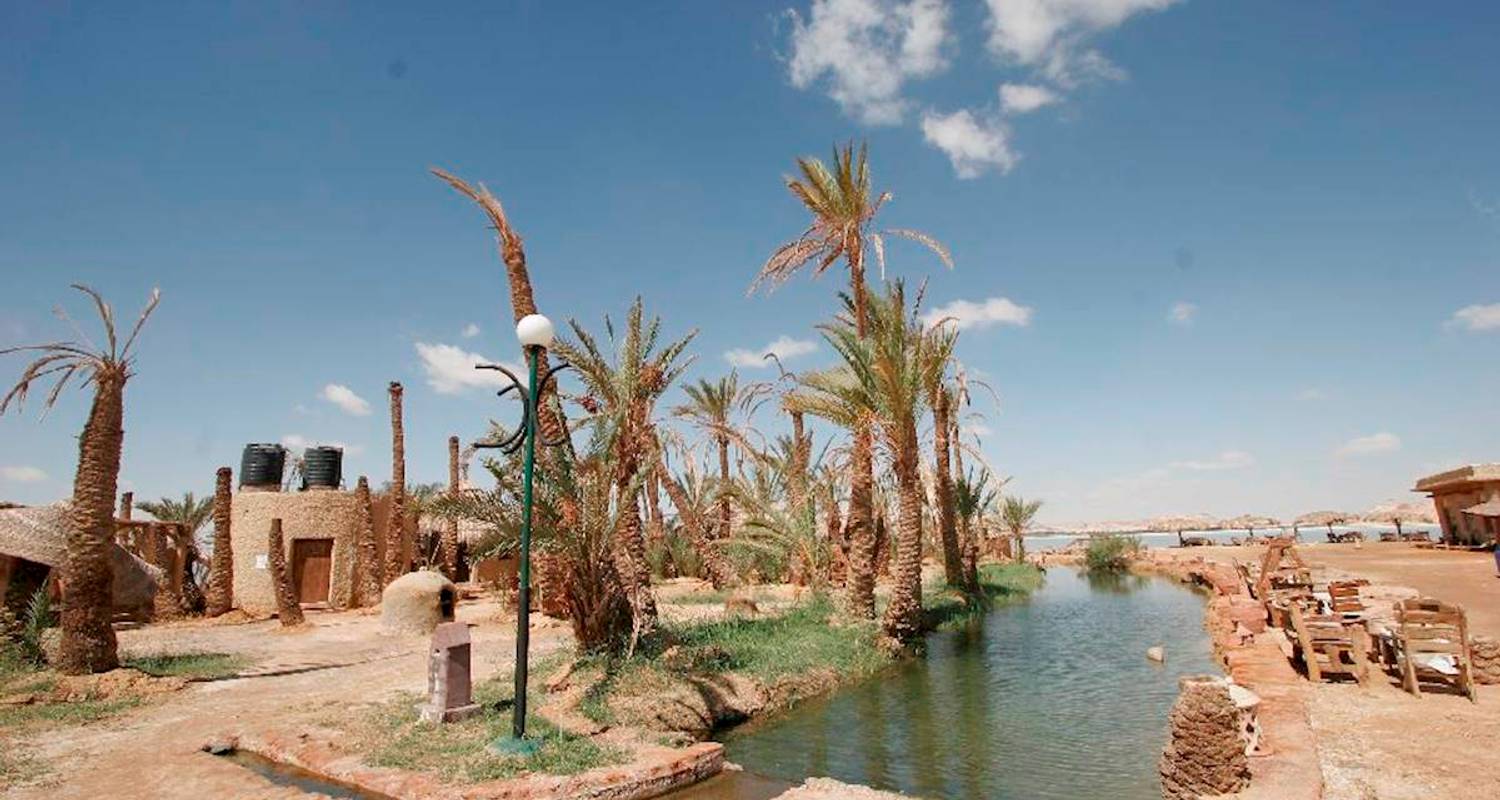 Описание оазиса. Оазис Сива Египет. Оазис Амшер. Siwa Oasis Египет озеро. Амшер Египет.