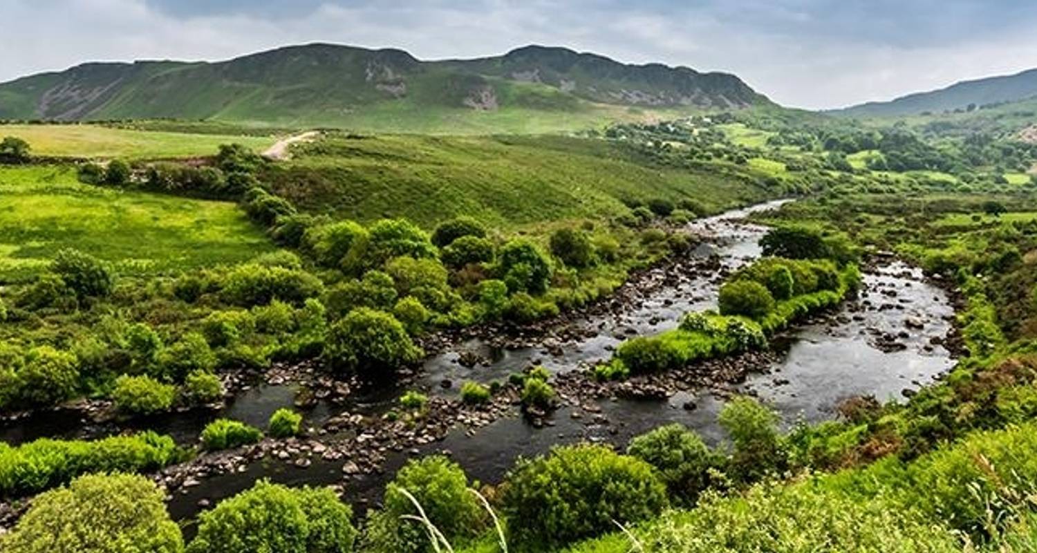 Les coins du sud de l'Irlande - 2023 - Back-Roads Touring