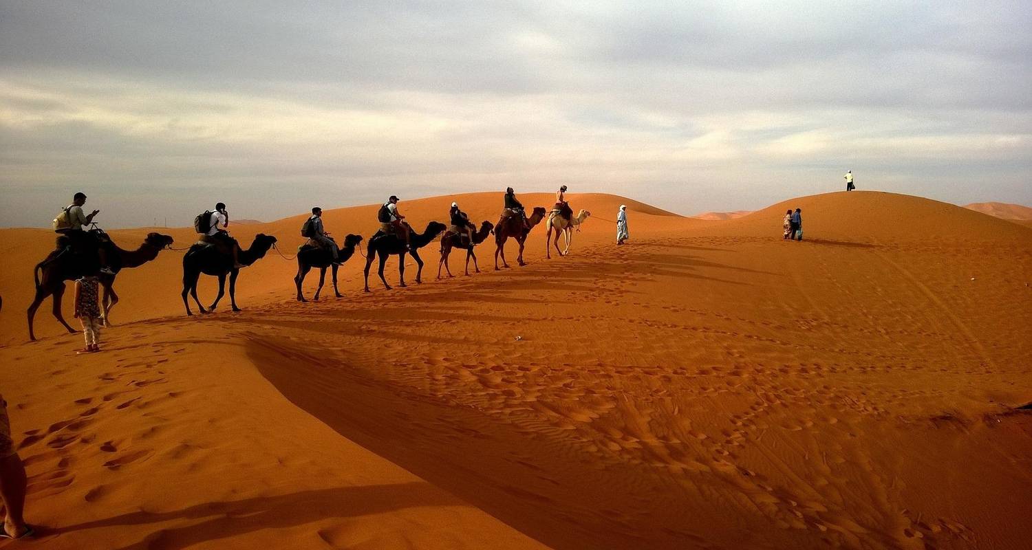 Tailor-Made Saudi Arabia Vacation with Daily Departure & Private Guide