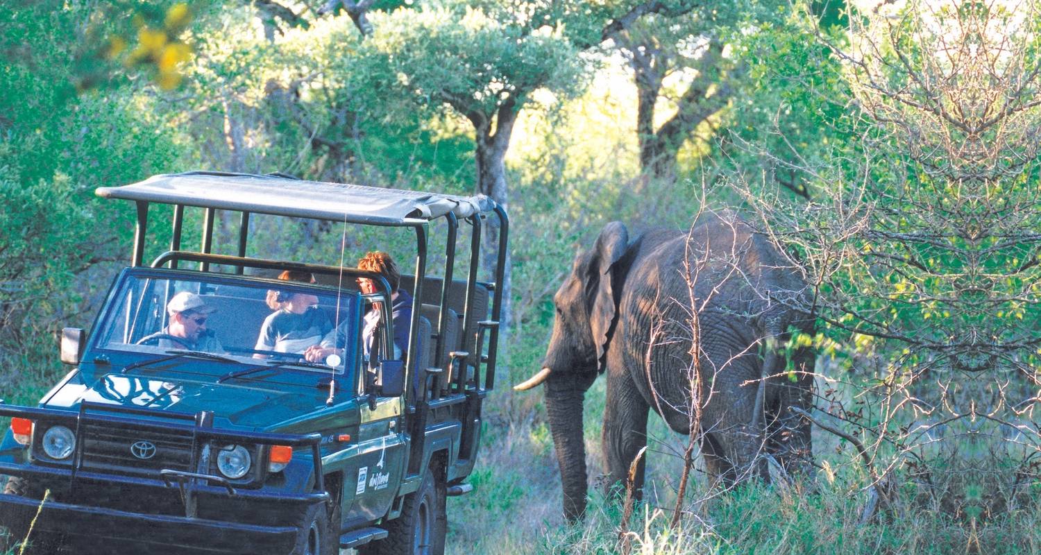 5 TAGE - KRÜGER-SAFARI ÜBERLANDTOUR / MIT UNTERKUNFT - Drifters Adventure Tours