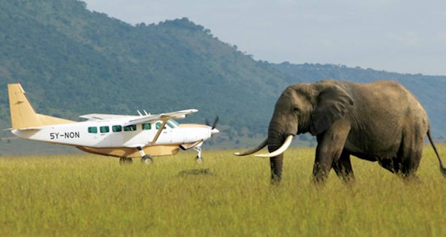 4 Days Maasai Mara Flying Safari Package - Gracepatt Ecotours Kenya