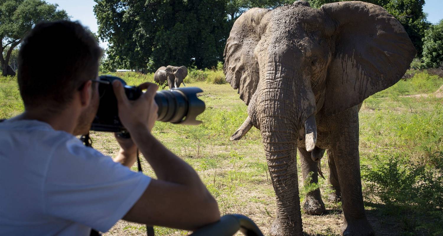 7 jours de découverte de 3 des plus grands parcs animaliers du Kenya - Gracepatt Ecotours Kenya