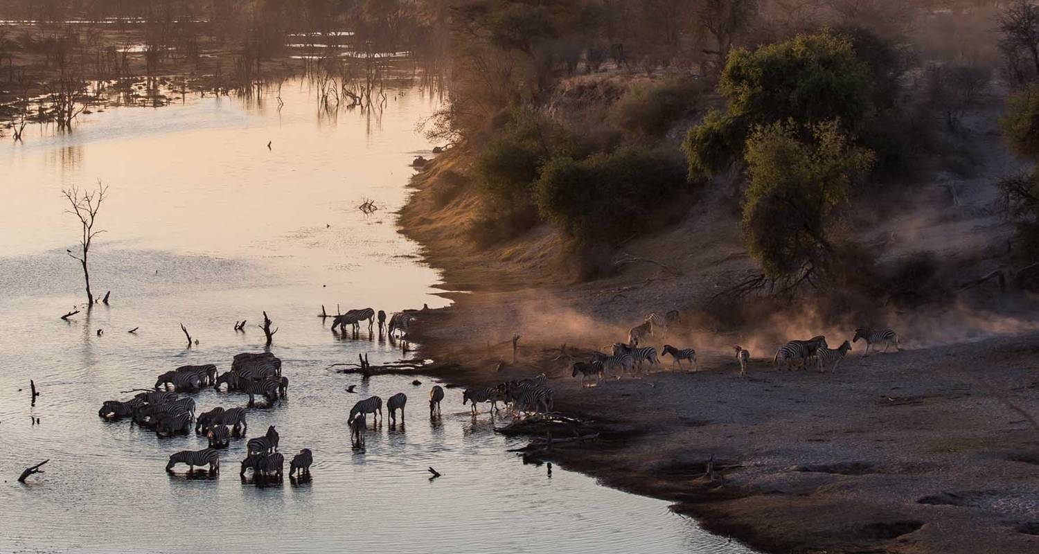 Safari de 3 jours en camping dans le delta de l'Okavango et sur la rivière Boteti - The Mzansi Experience