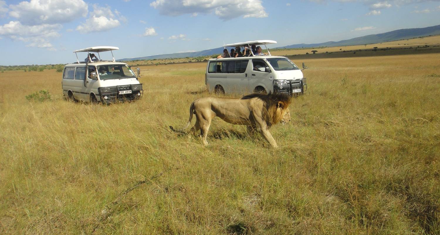 El mejor safari personalizado por Zimbabue, salida diaria y circuito privado - Agate Travel