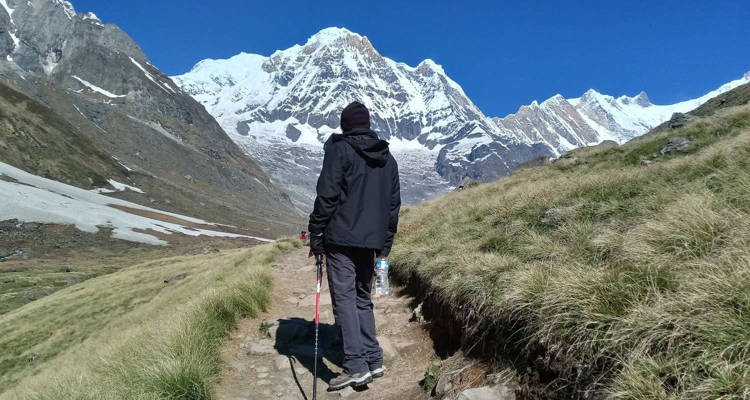 Annapurna Basiskamp Trek en Chitwan Jungle Safari - Peregrine Treks and Expedition Pvt Ltd