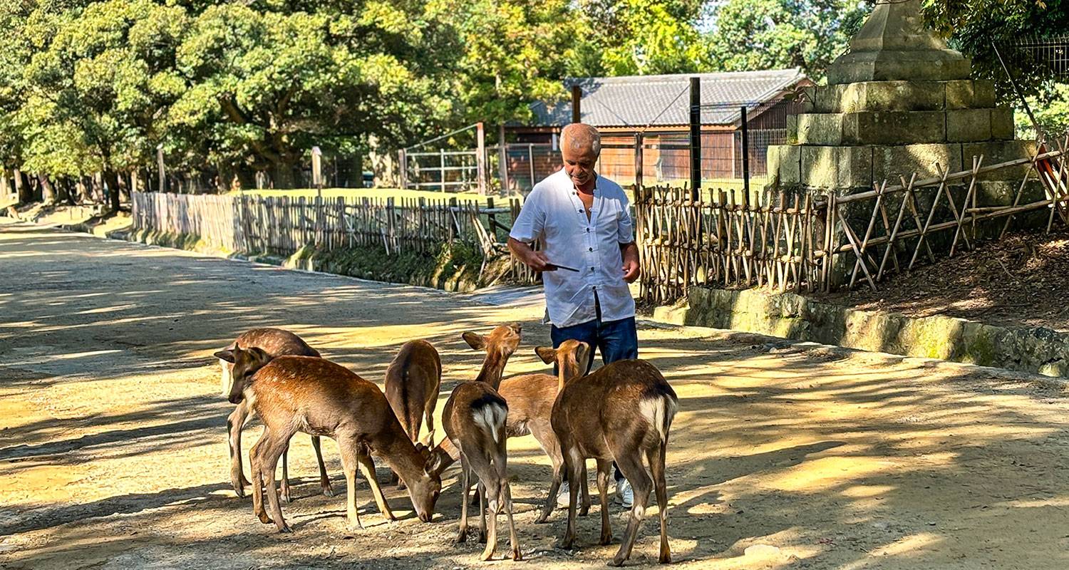 8 Days Japan Premium Mini Group Tour with 3/4 Stars Hotels (Max 6 People)