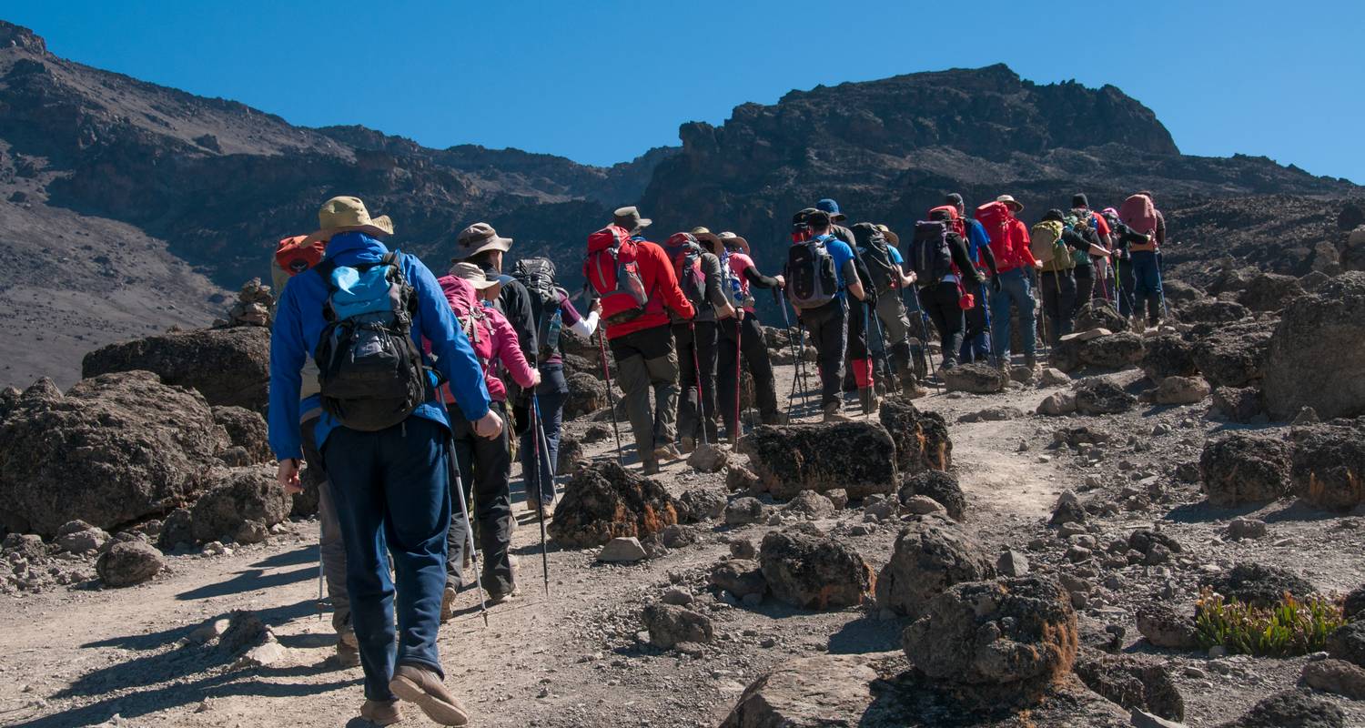 Kilimanjaro climbing machame route 7 days - Gecko Adventure