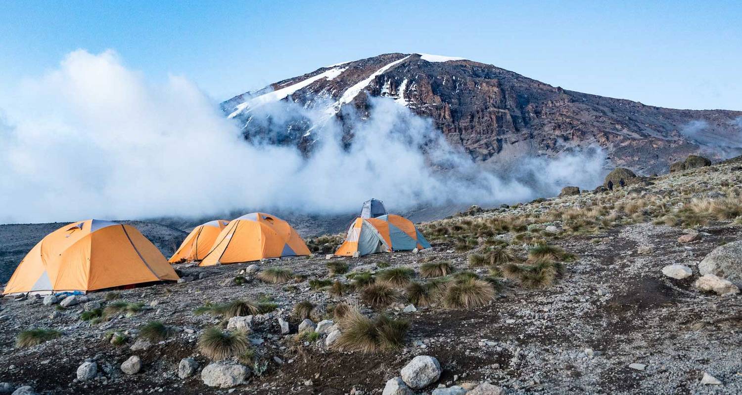 Climb Kilimanjaro Via Lemosho Route 7 Days - Gecko Adventure