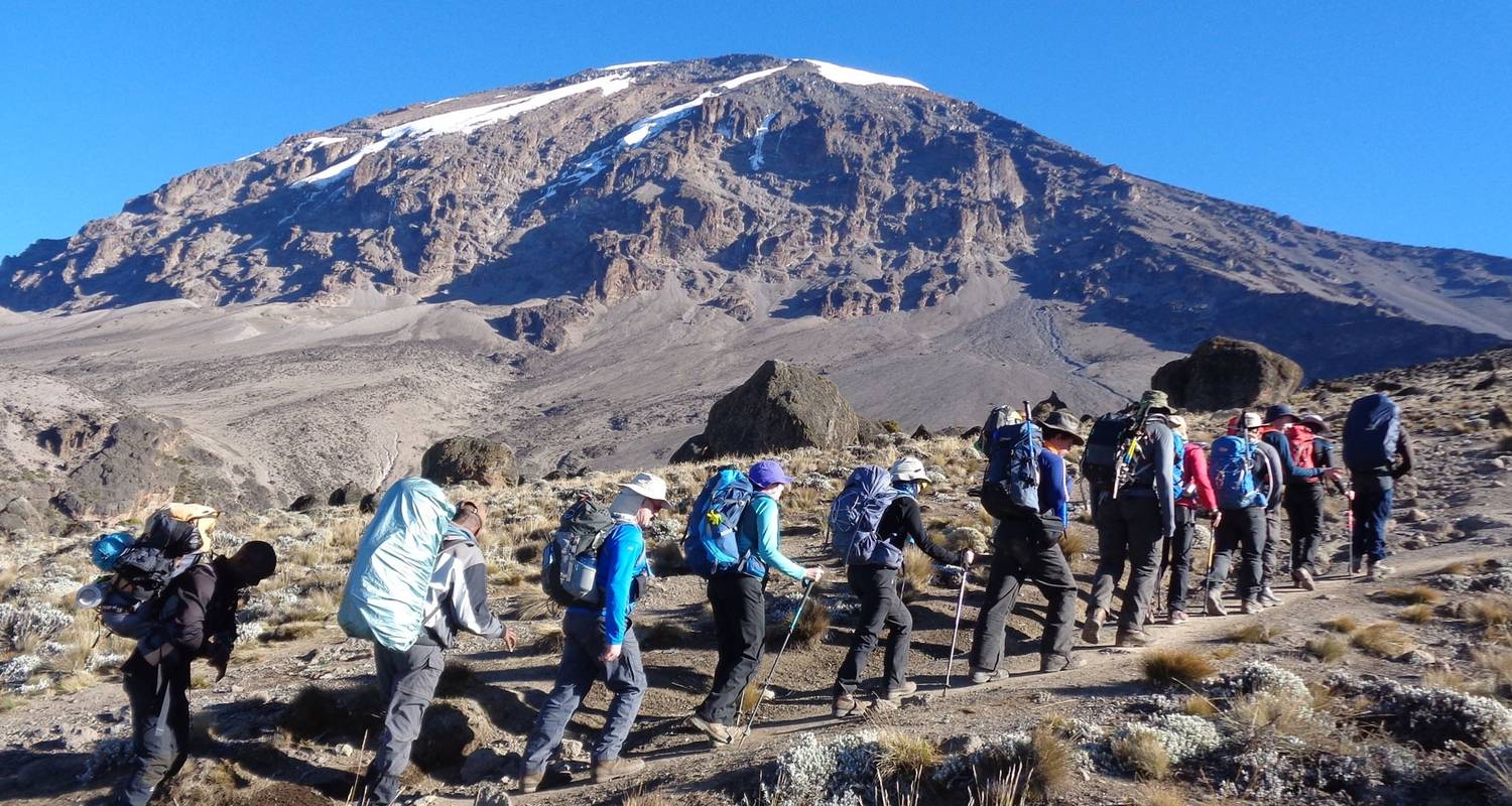 Kilimandscharo Besteigung über die Lemosho-Route 8 Tage - Gecko Adventure