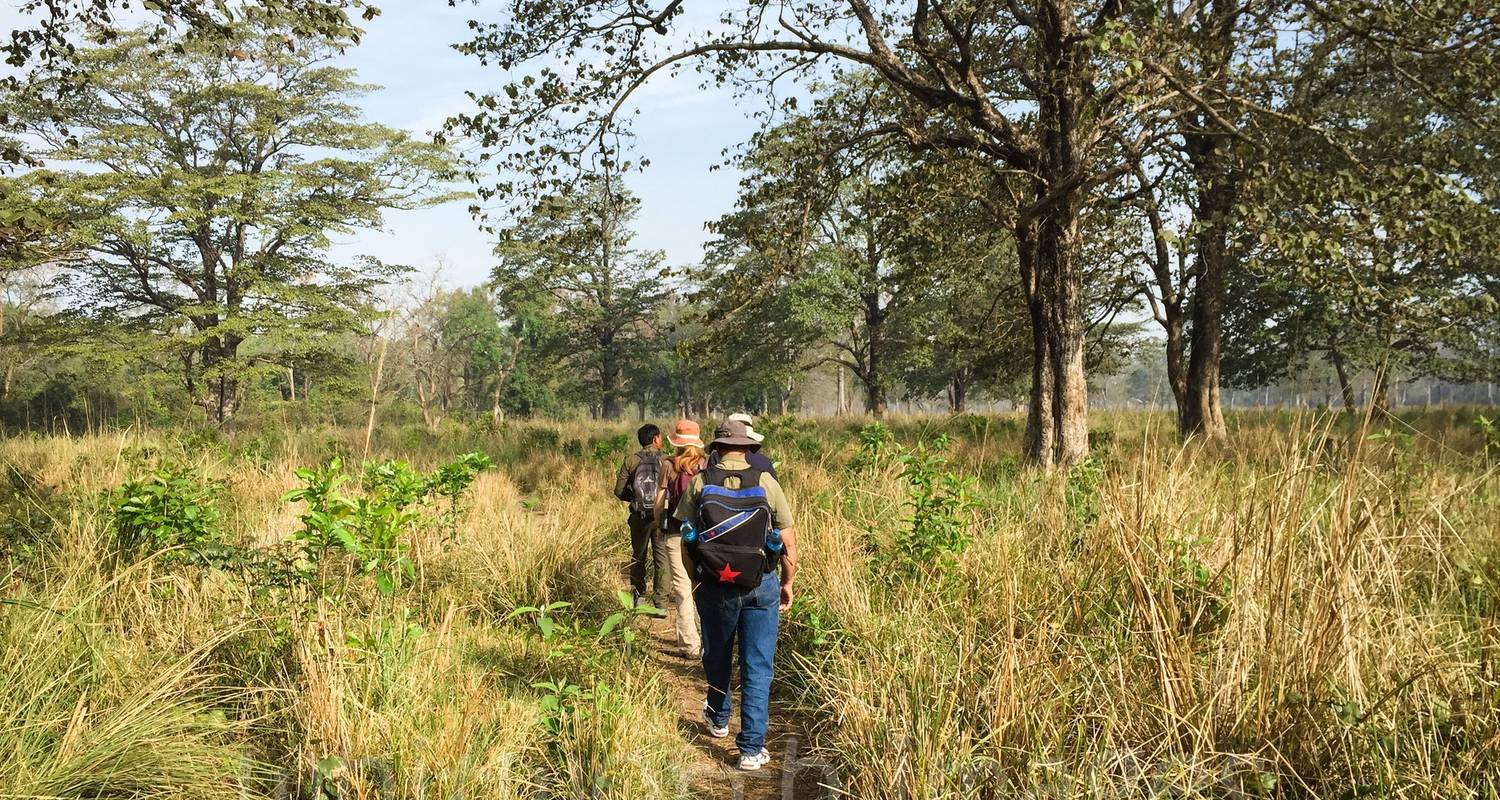 Bardiya Jungle Safari 4 dagen - Peregrine Treks and Expedition Pvt Ltd