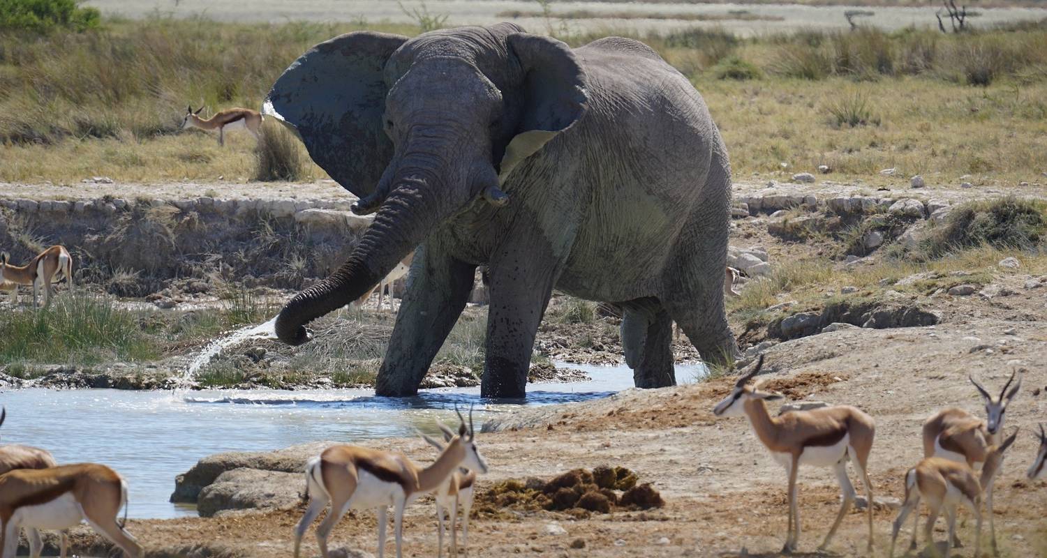 Namibië Noord naar Zuid avontuur17 dagen/16 nachten (Comfort Plus) - Across Africa Tours & Travel