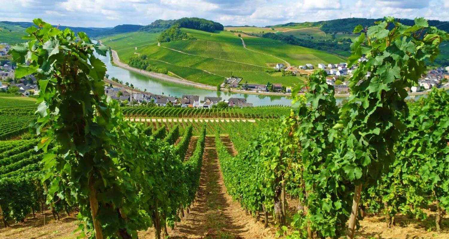 Mosel- & Eifelsteig - From Perl to Trier in 5 days (5 days)