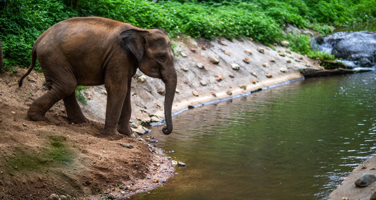 Historical Tours & Trips in Northern Thailand