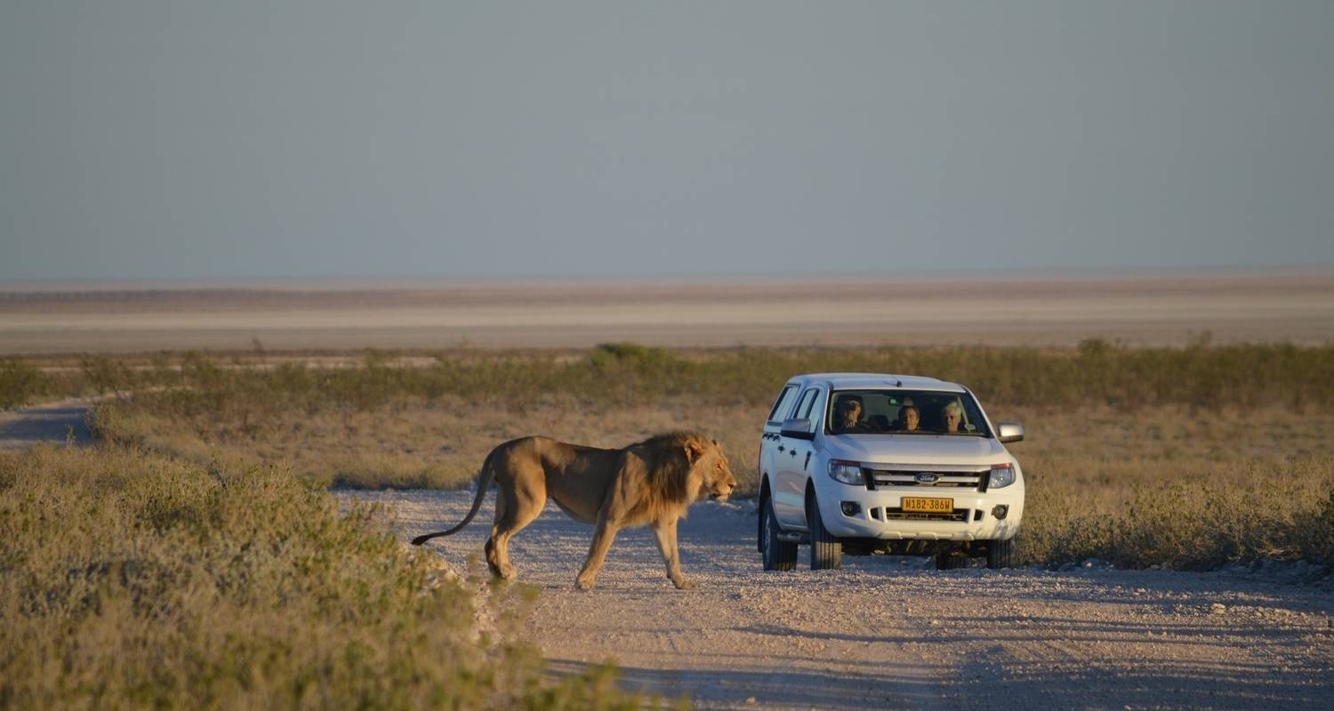 Namibie : Circuits en famille