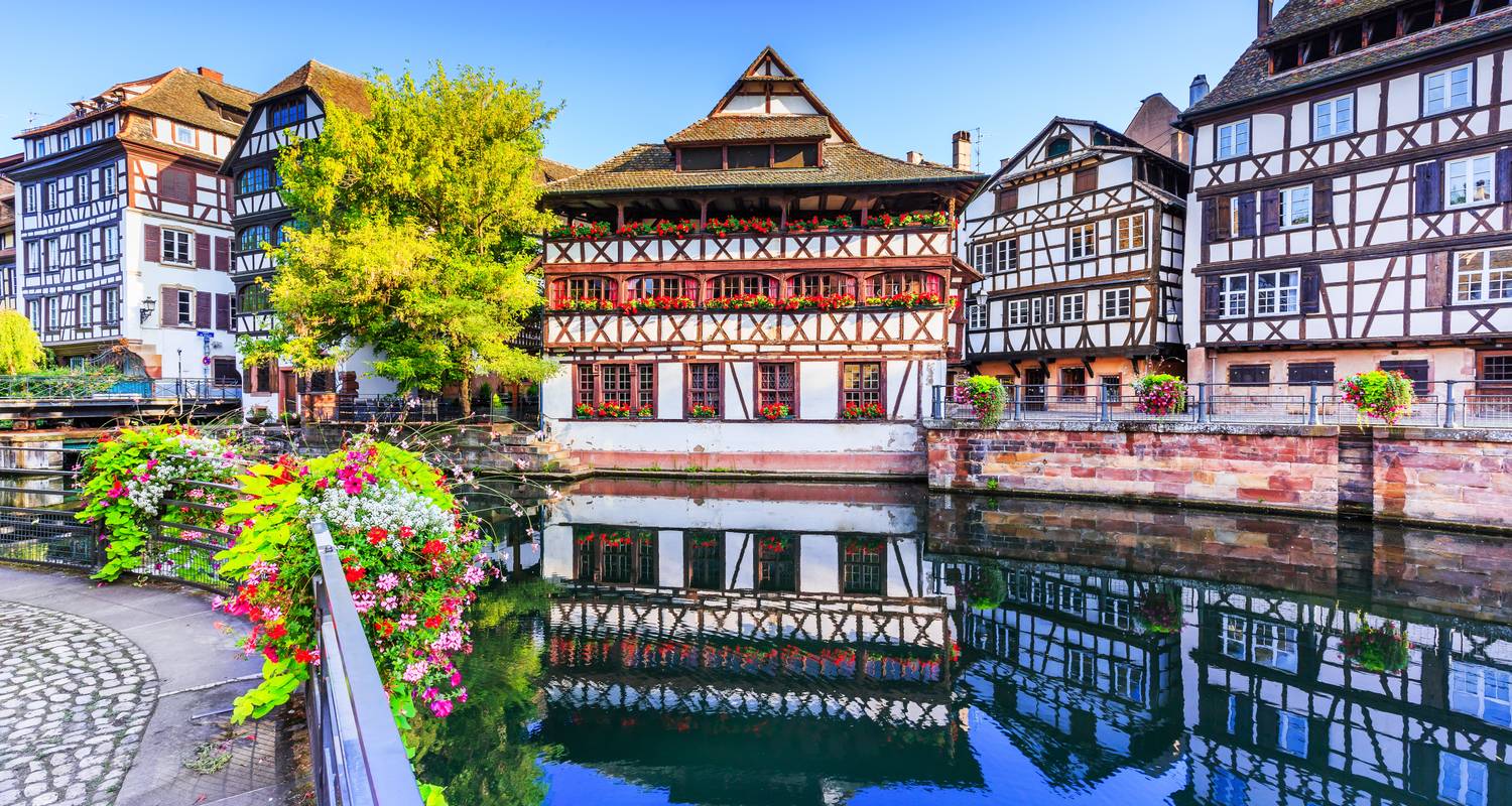 Relax Cycling Tour in Alsace (8 days)