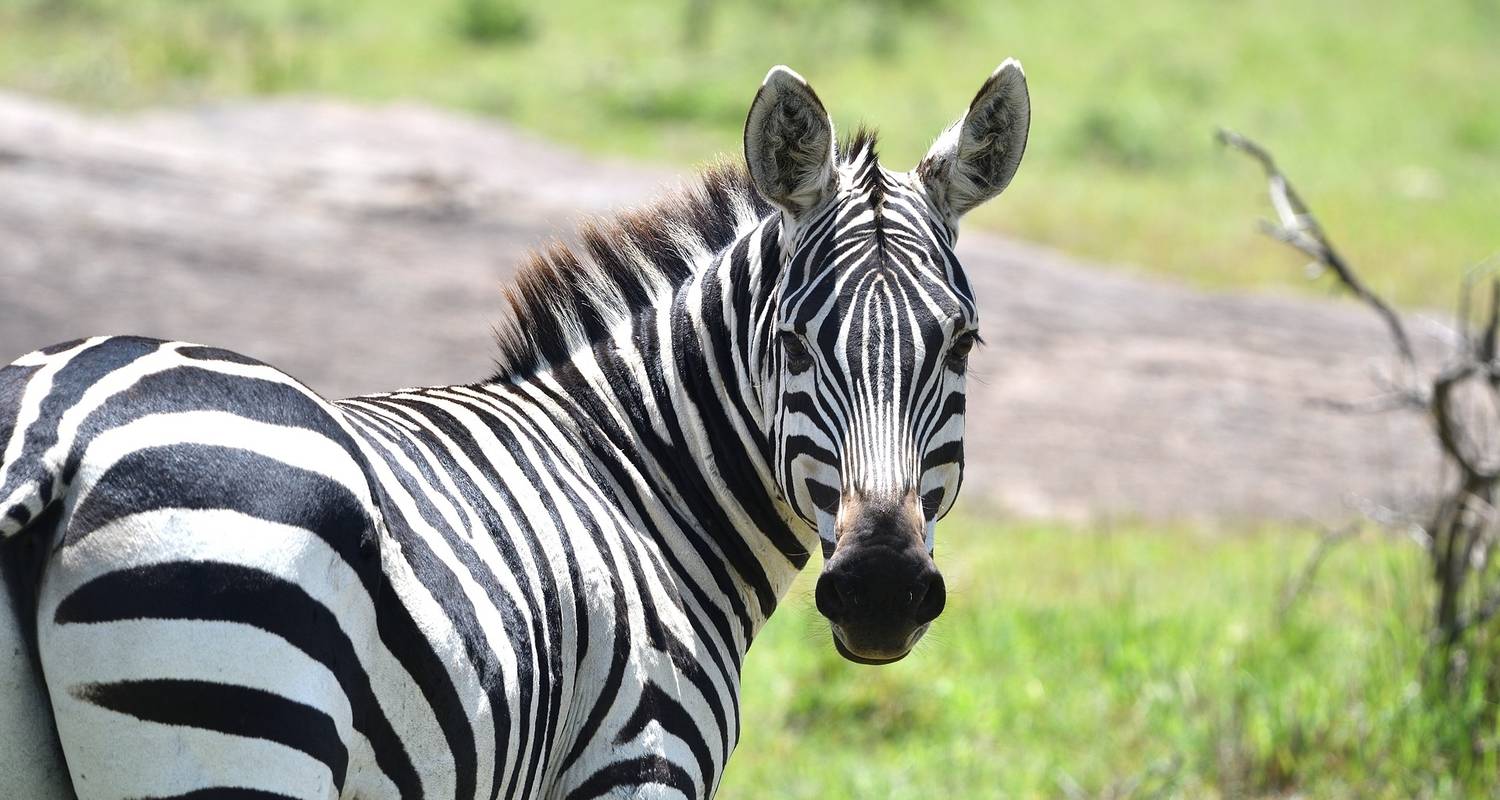 Aktivreise von Arusha nach Arusha