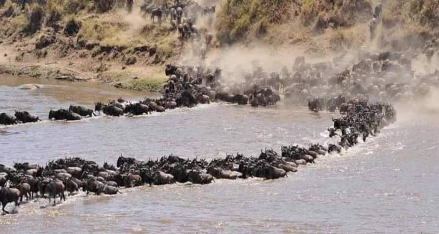 Groep Rondreizen in Serengeti Nationaal Park