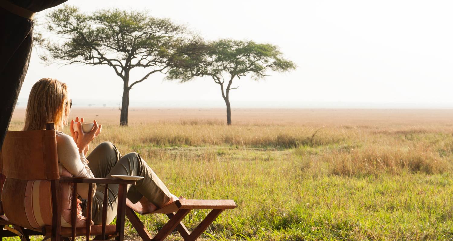 Affordable Kenya Tanzania Safari - Holiday Destination Safaris