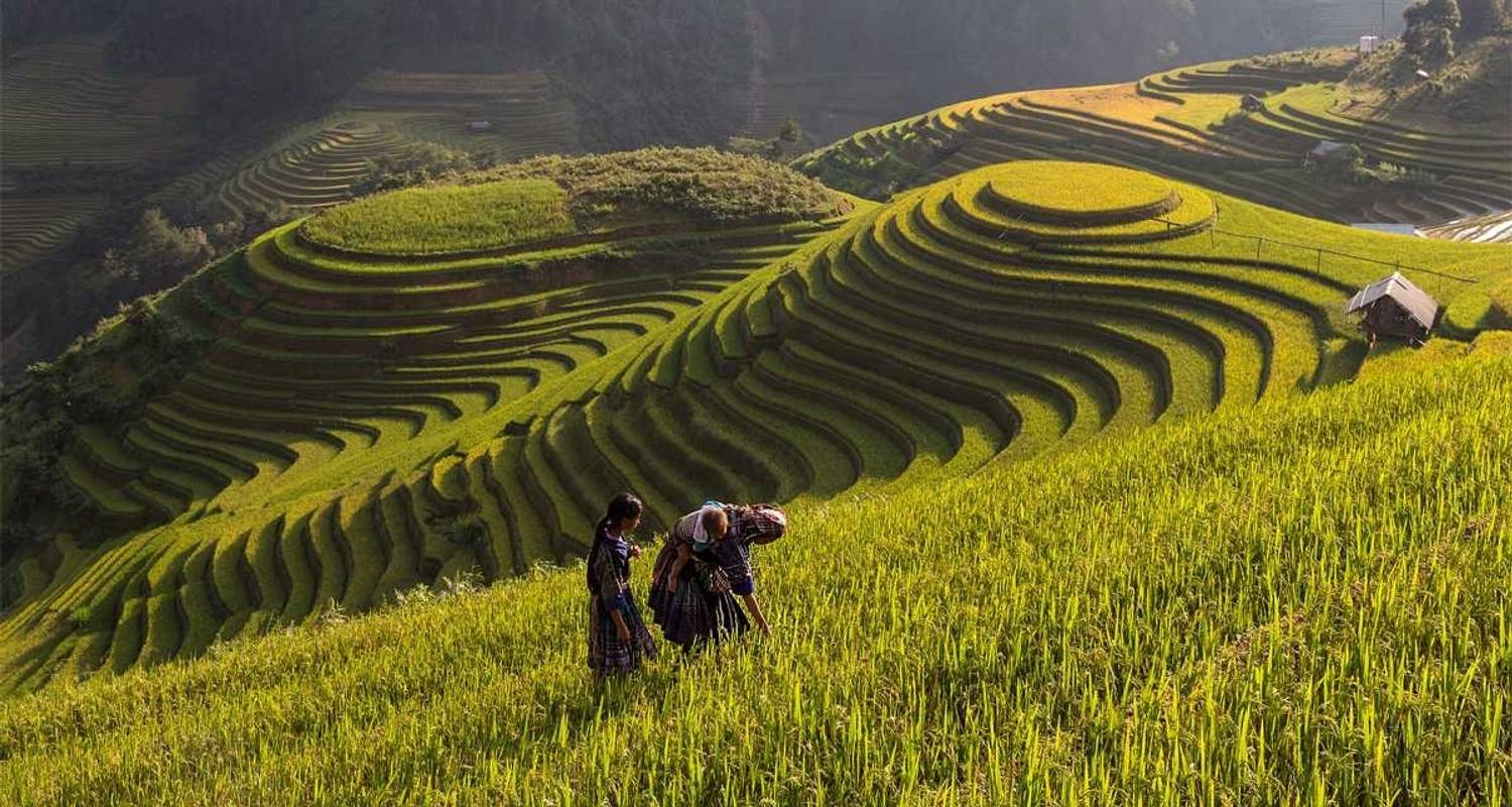 Mu Cang Chai Trekking Tour 3 Days 2 Nights - Old Quarter Travel