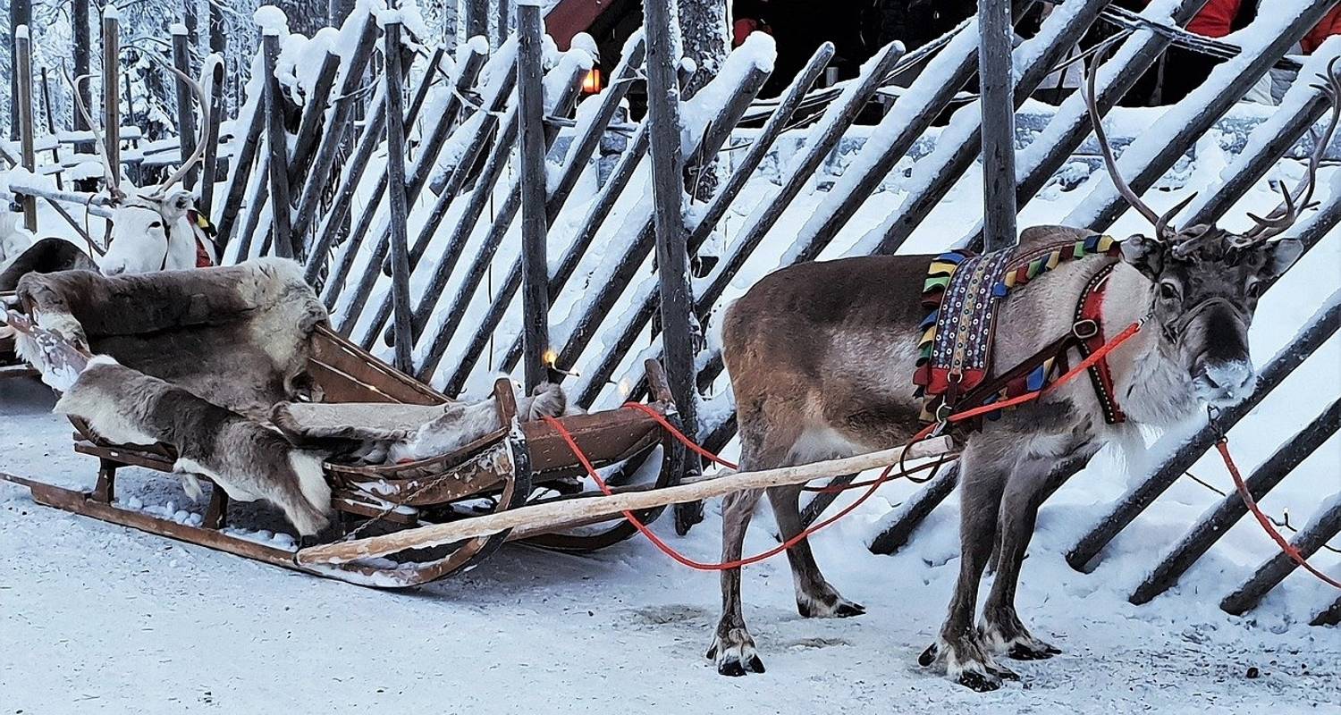 Finland – Arctic Adventure with Northern Lights & Glass Igloo