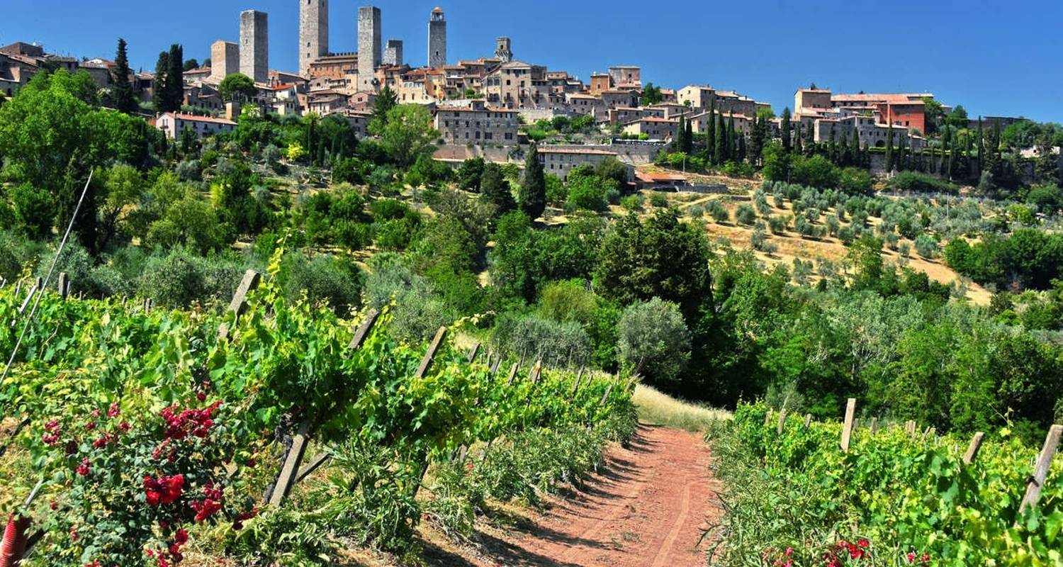 tuscany taste tour