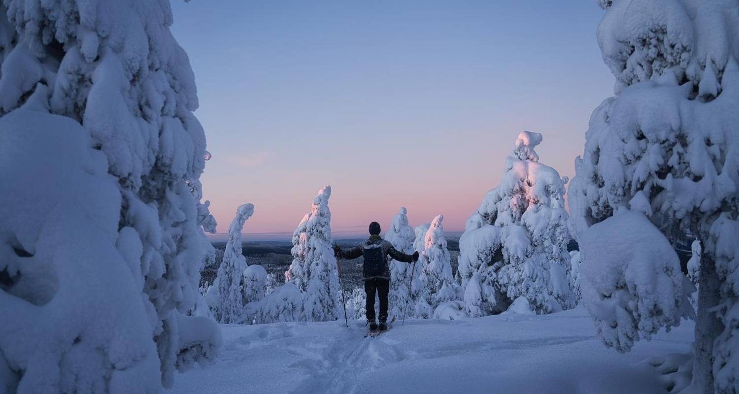 Wildlife Tours in Sweden