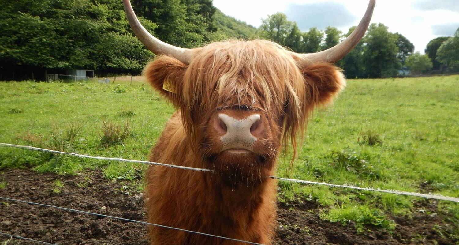 4-day Isle of Skye and The Jacobite Steam Train