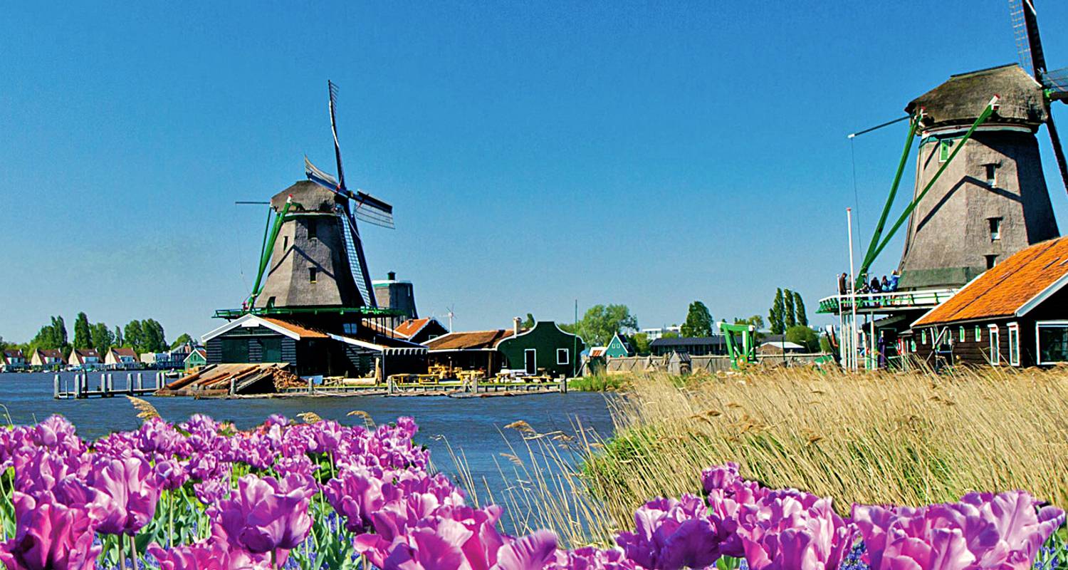 Tulips & Windmills (2024) (Amsterdam to Antwerp River Queen, 2024) by