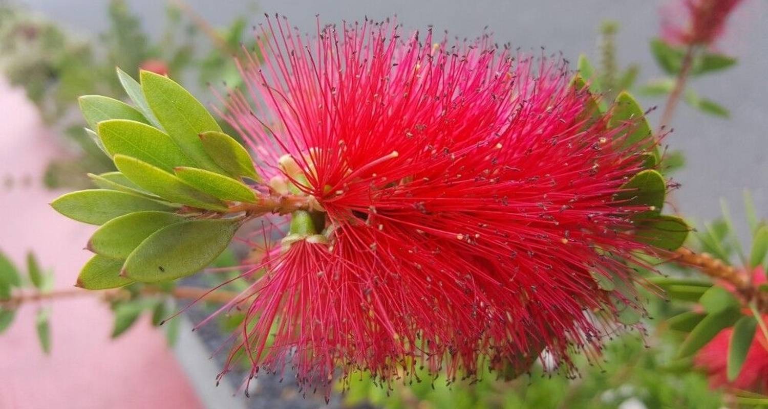 Cloud Forest, Volcanoes and Sea