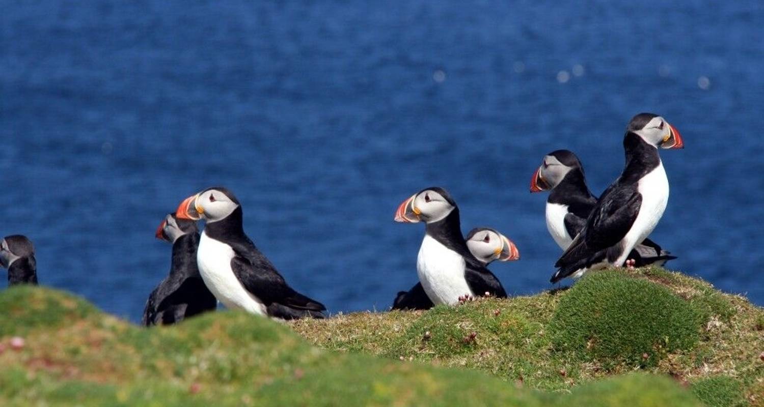 Dream Islands in the North Atlantic