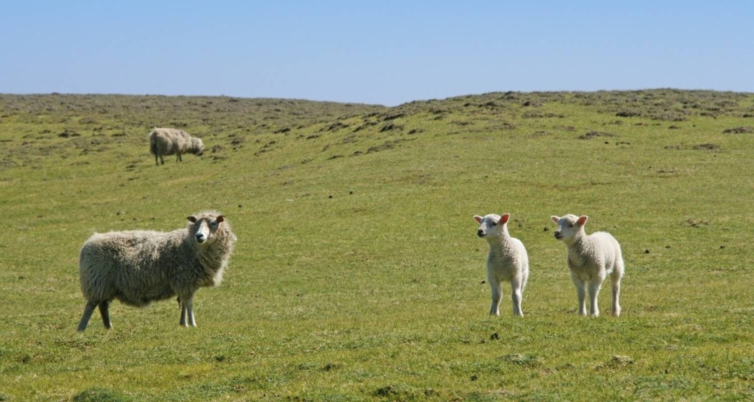 Islas de ensueño en el Atlántico Norte - DIAMIR Erlebnisreisen