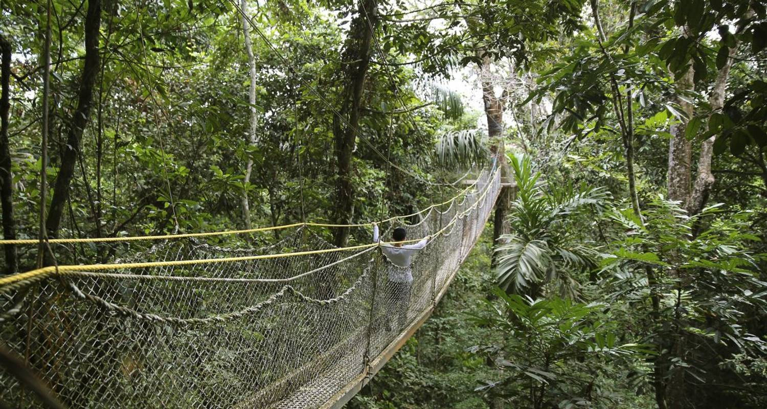 Selva Amazónica Circuitos 2 Semanas