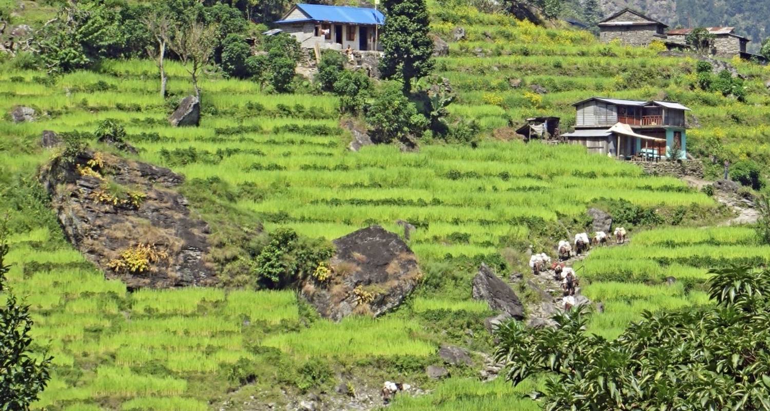 Manaslu y Annapurna - DIAMIR Erlebnisreisen